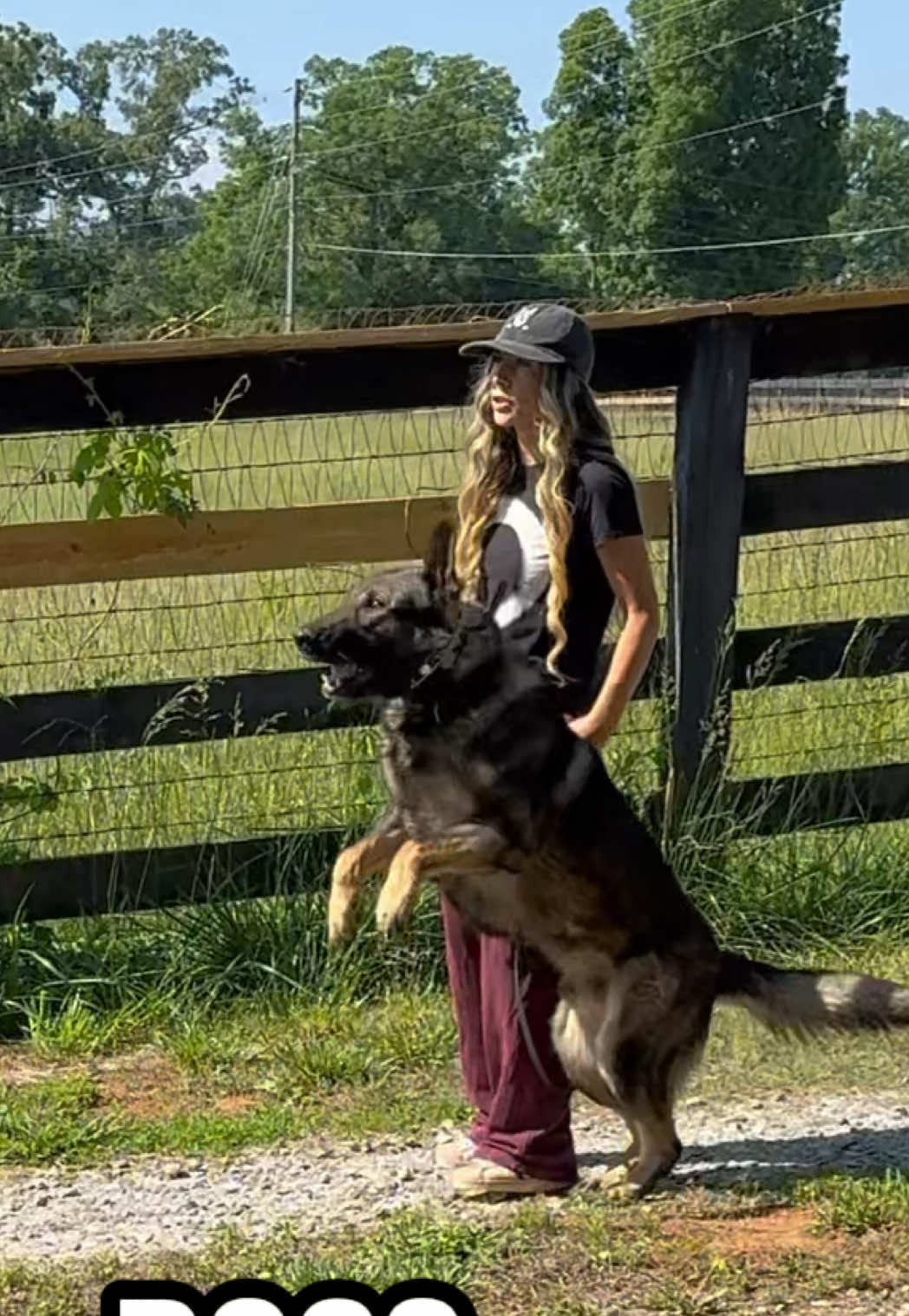 @True Guard K9 I Tara