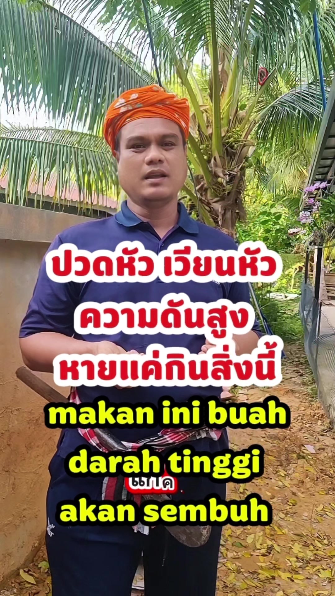 @Paklong Herb
