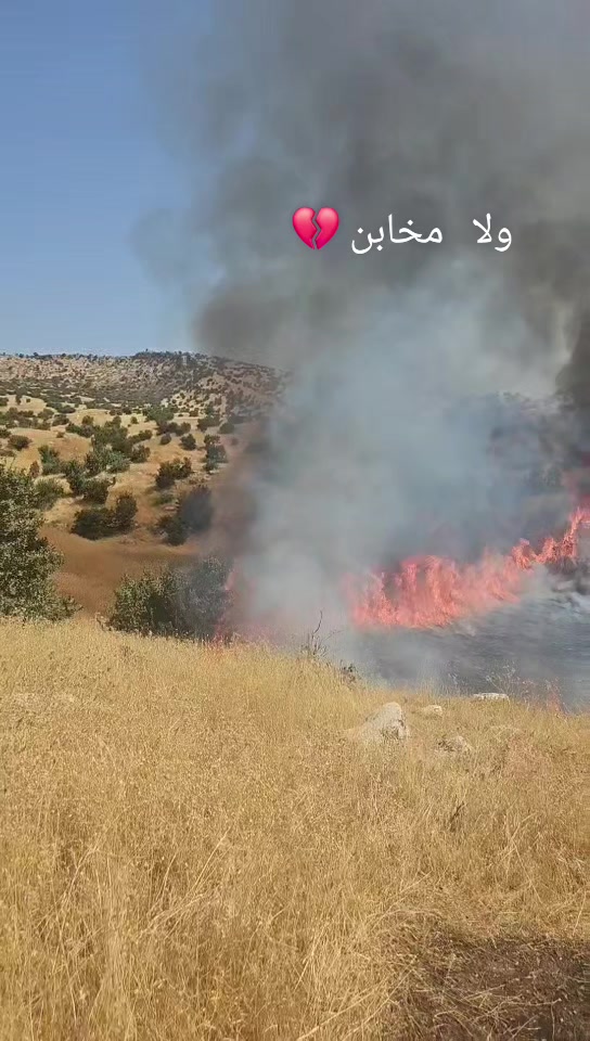 @شيخ🦅عيماد💪الهركي👑