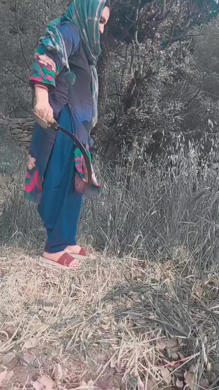 @@parurfans
