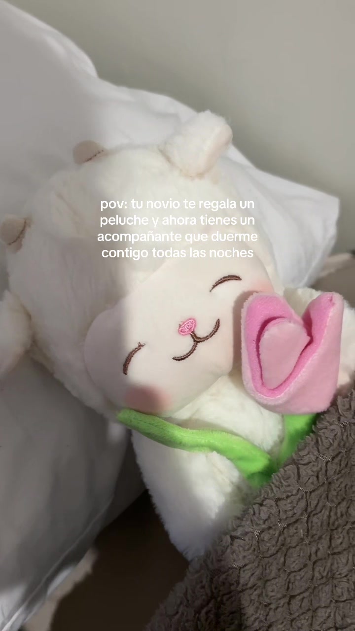 @steph