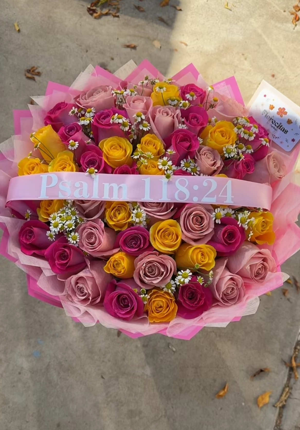 @๐๐๐ซ๐ข๐ญ๐ณ๐หห๐ขึดเปโ