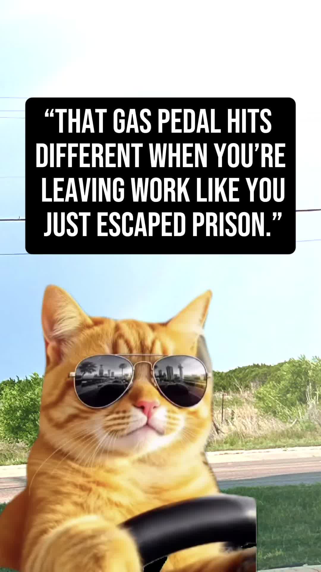 @Briana🌻🌻