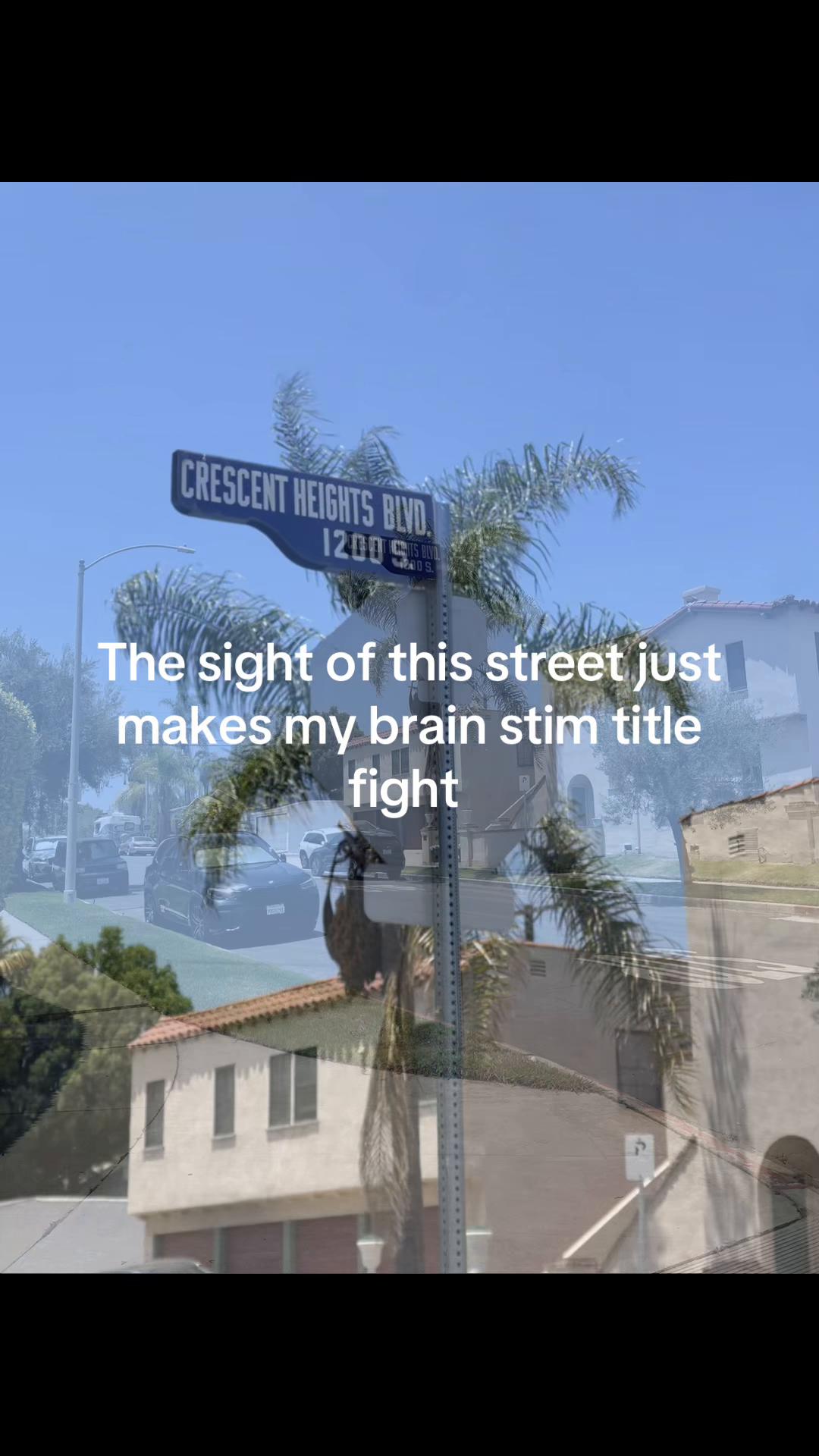 @camila cohen