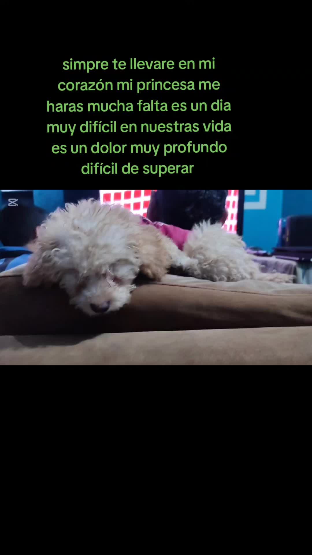 @weylack Jc