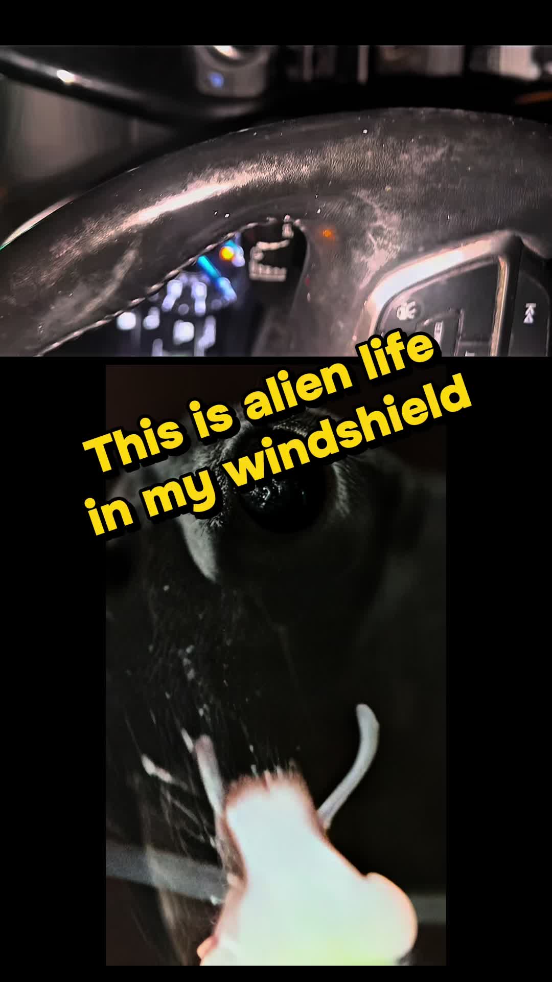 @universeisherenow