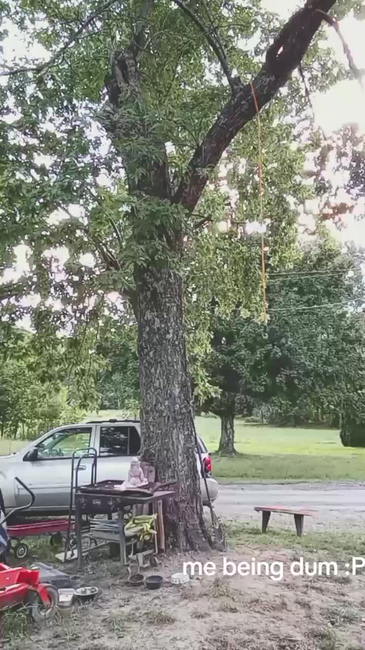@Bob