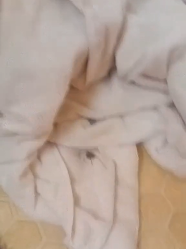 @creekcritter
