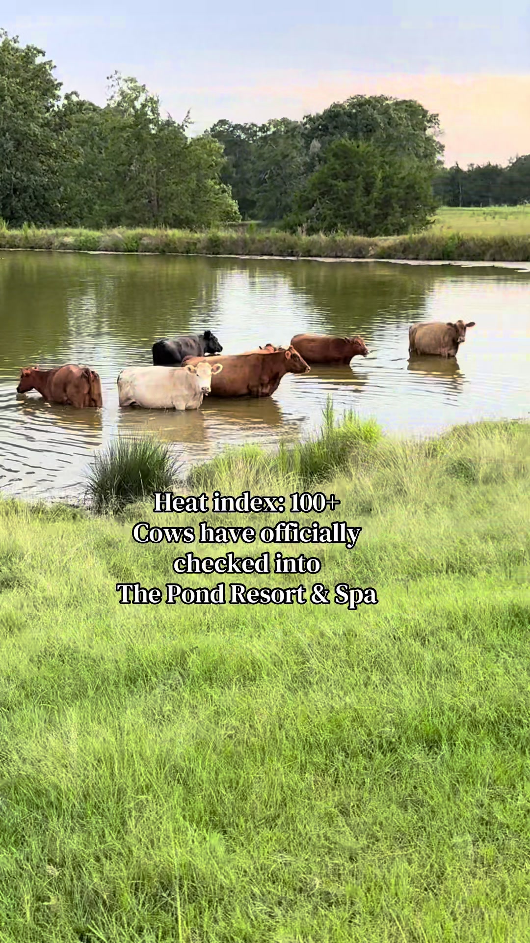 @Kristie_the_Pi🥉🐮❌