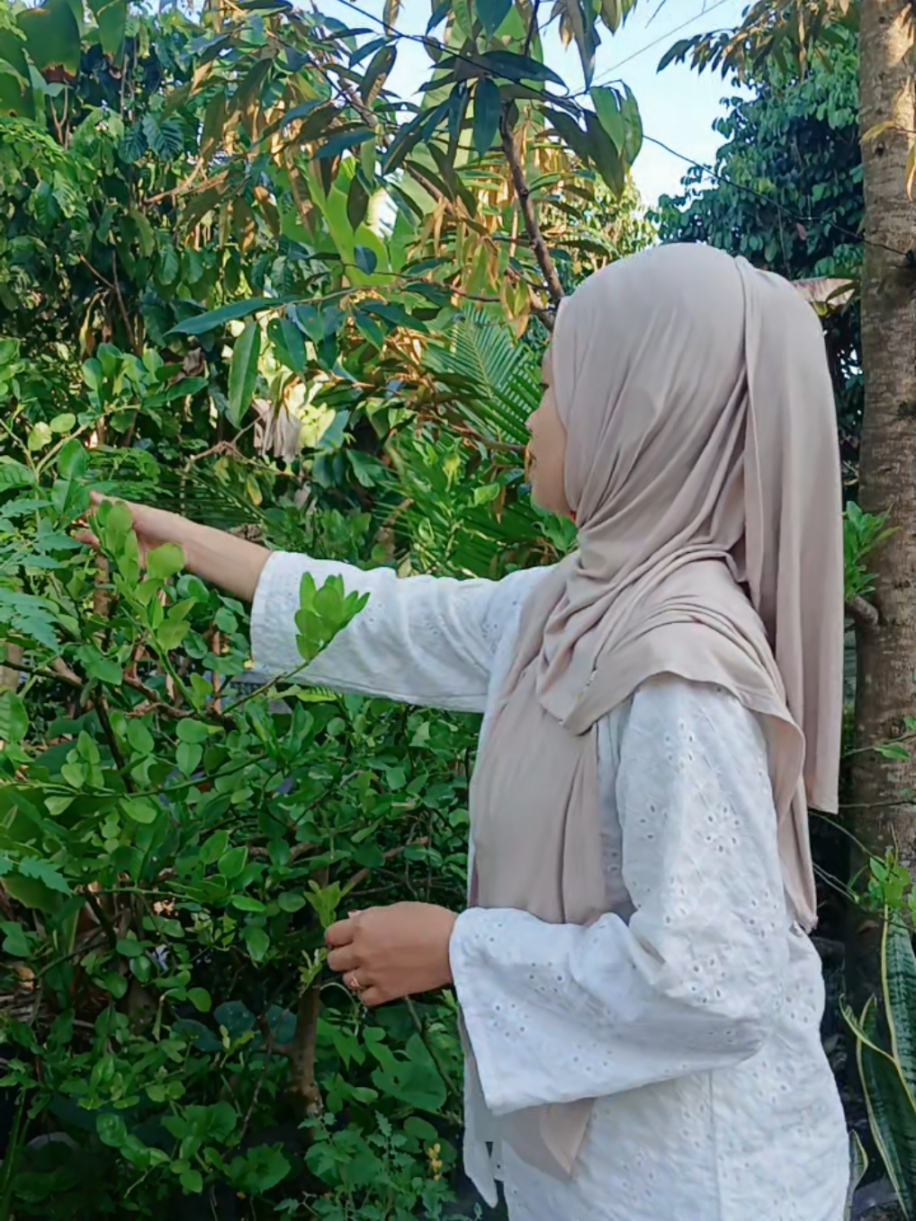 @Putri raiychiez19