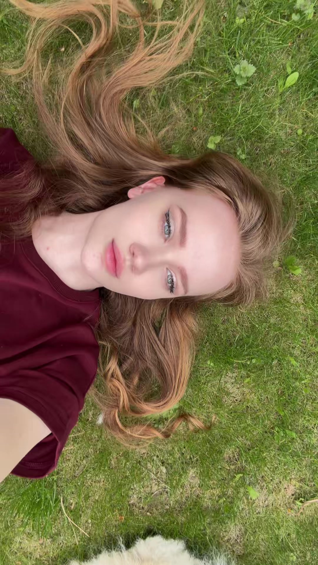 @daria