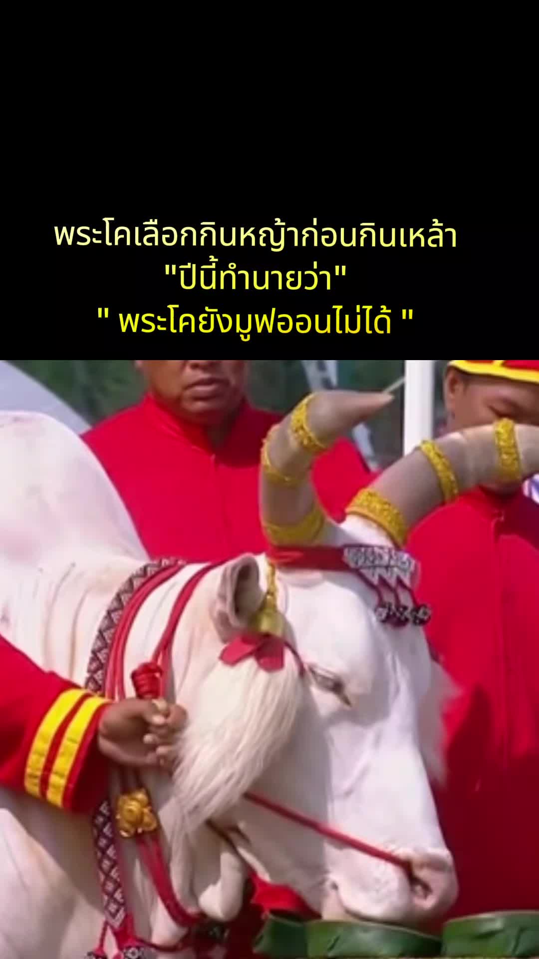 @นังตัวD😈
