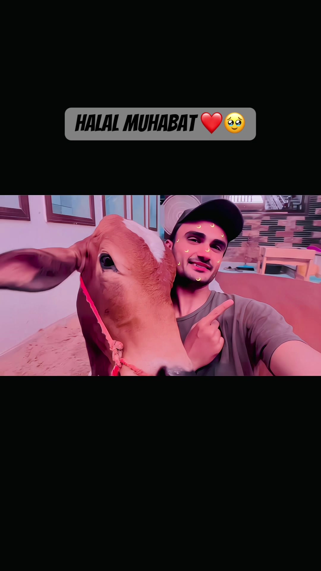 @⚡️شاہ صاحب⚡️