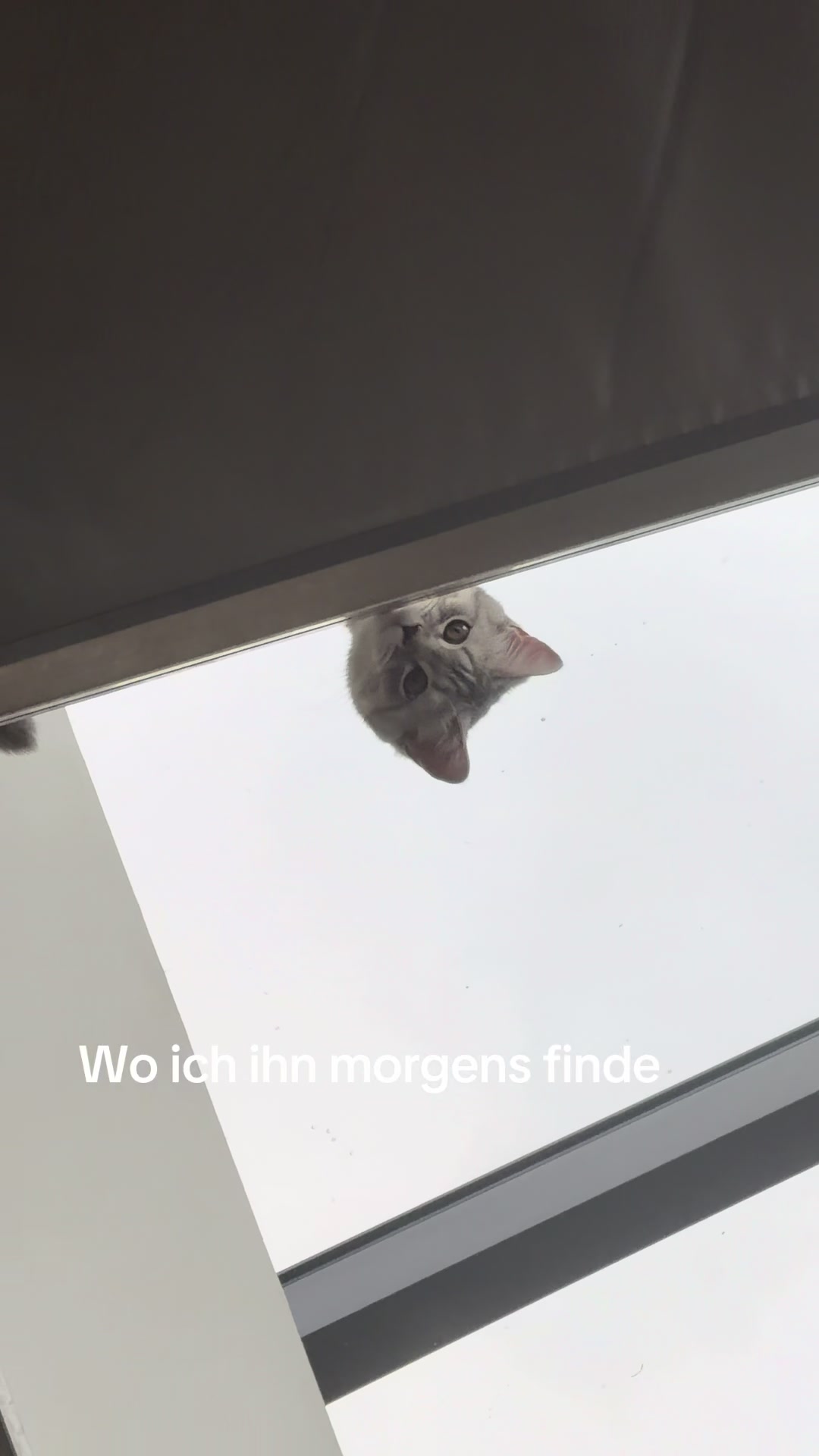 @jazzzzign