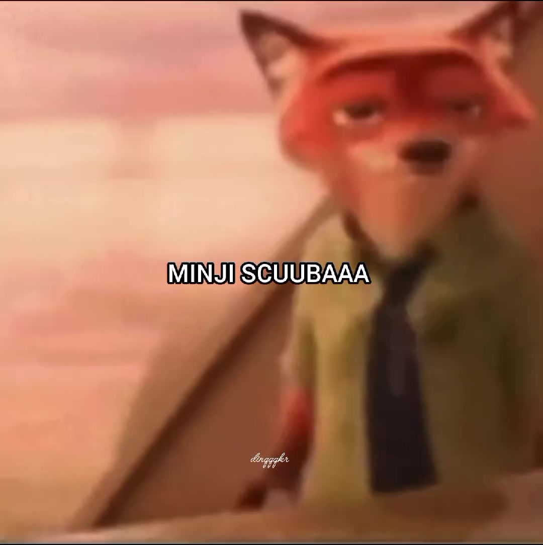 @dinqqqkr