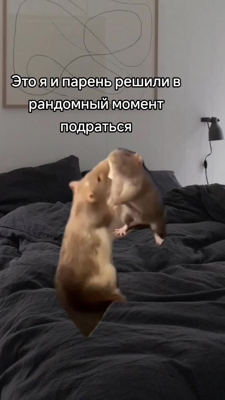 @кастрюля