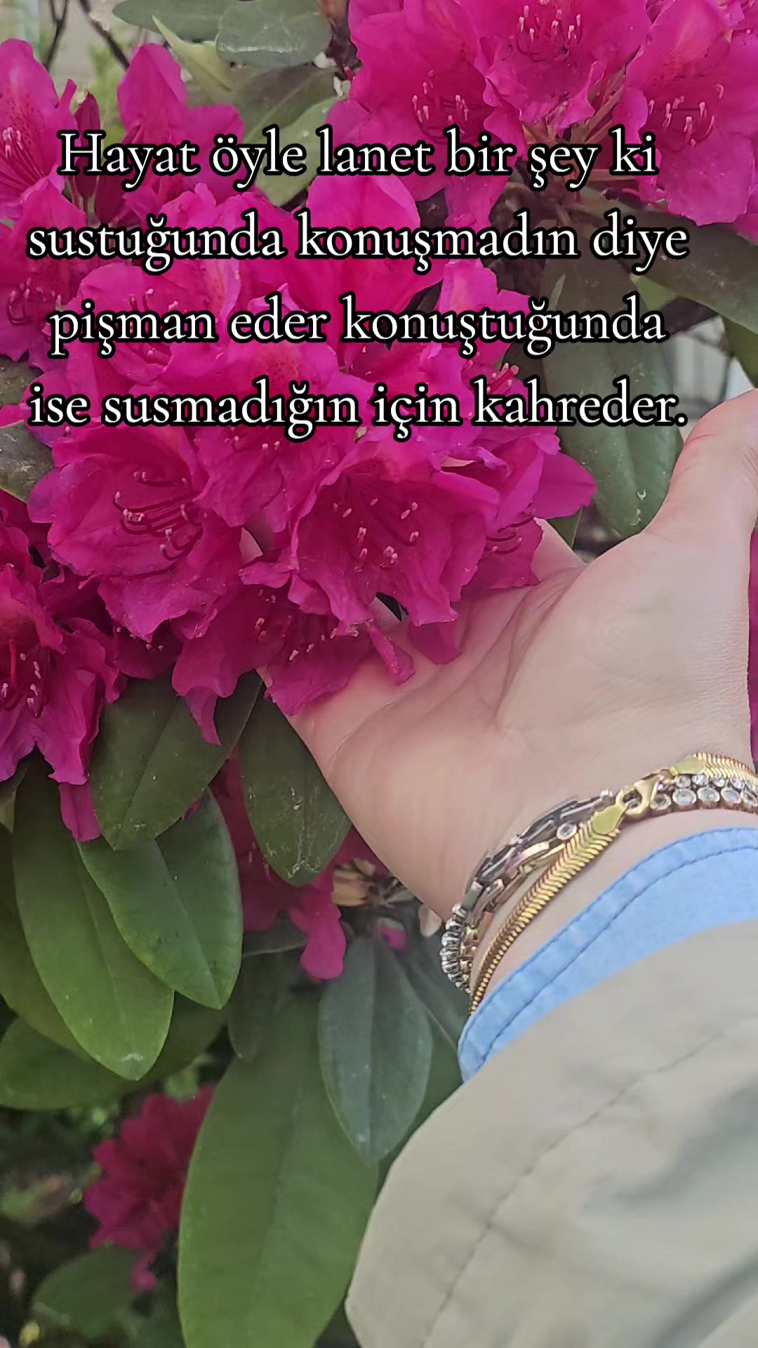 @💚❤️💛 EVİNA DİLEMIN 💚❤️💛