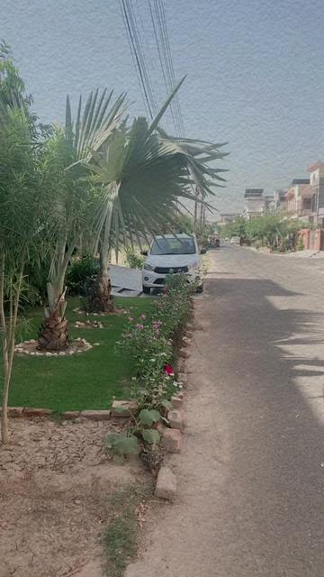 @www.tiktok.com/@Shahid bhatti