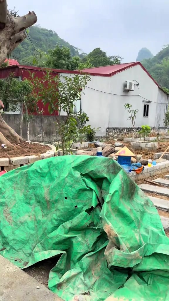 @Anh công