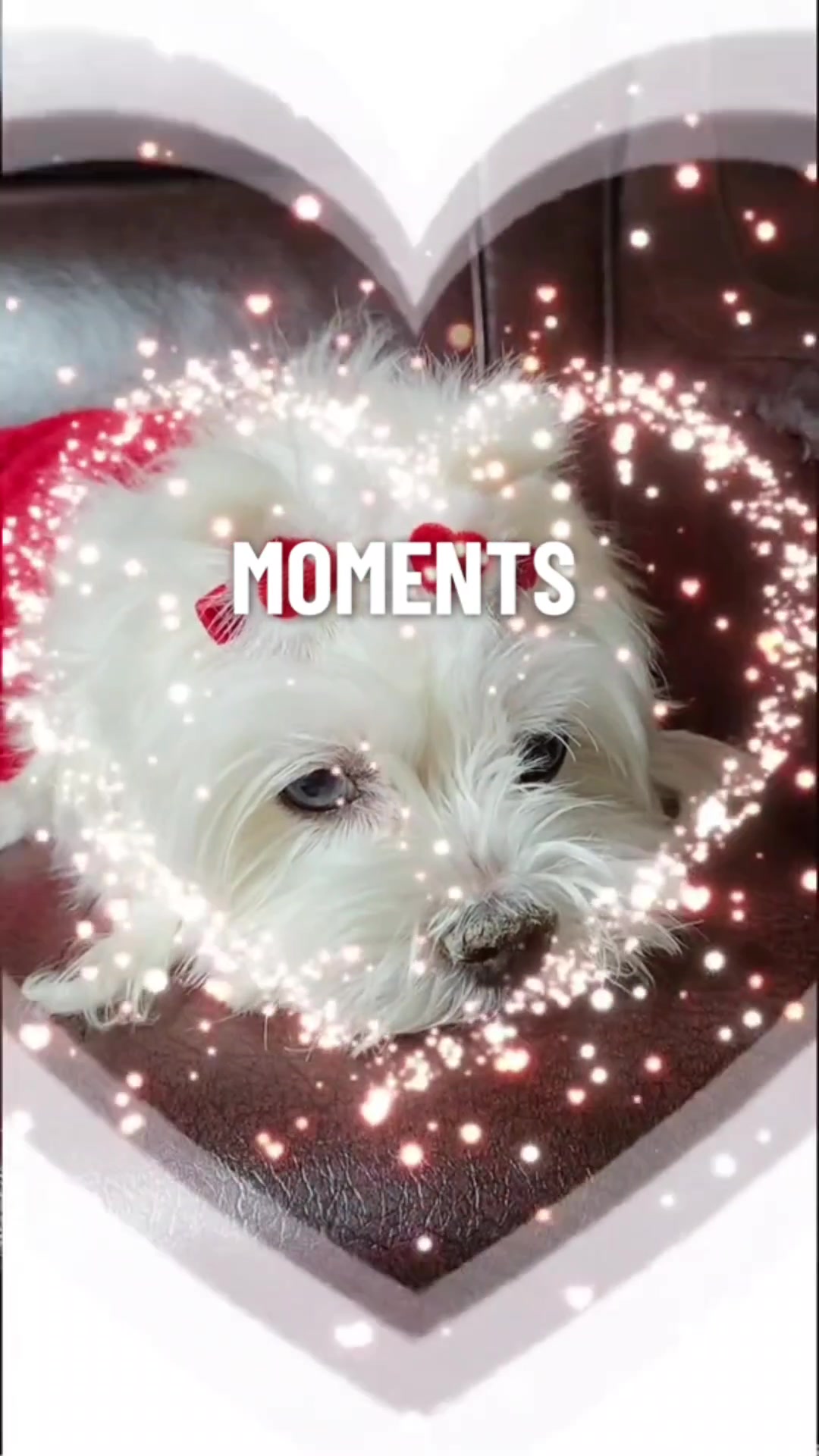 @❤파란눈녹차❤