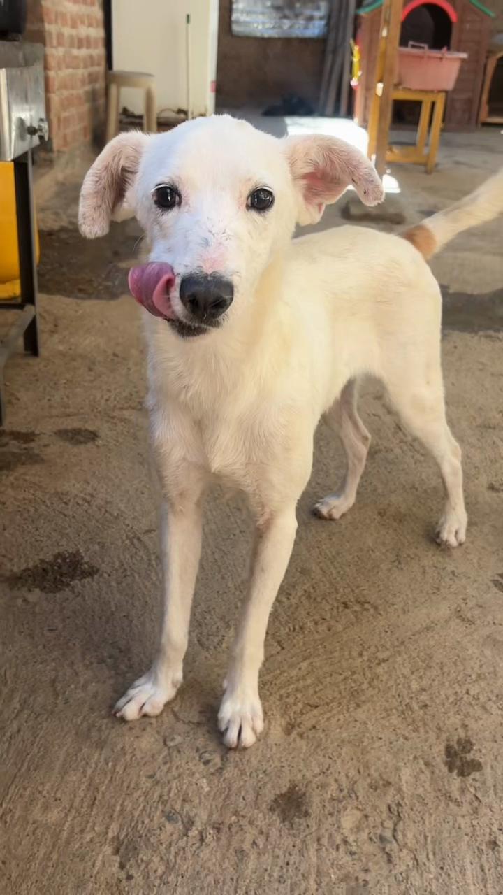 @Cómplices al rescate_11🐾