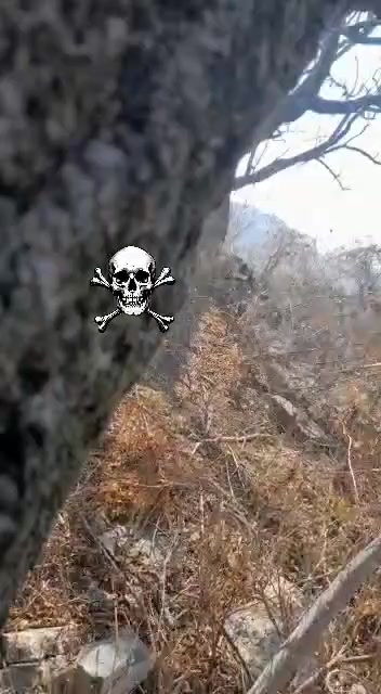 @ZinMarkAz