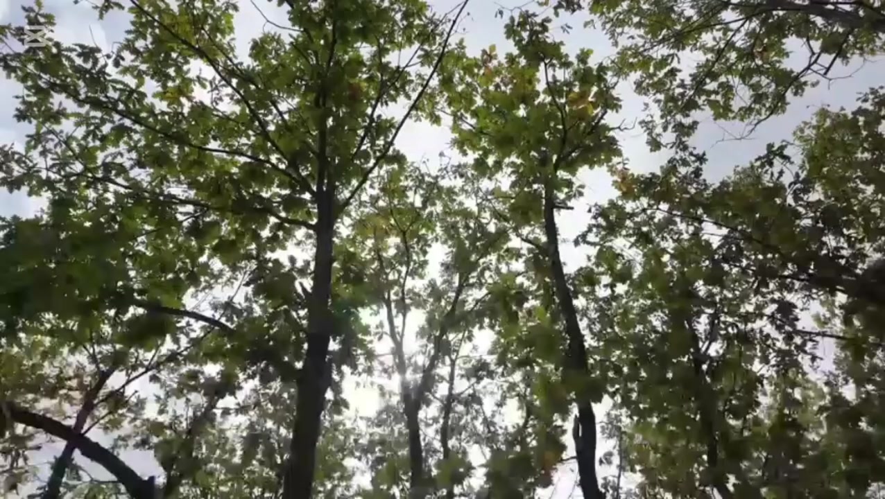 @yanki59.0