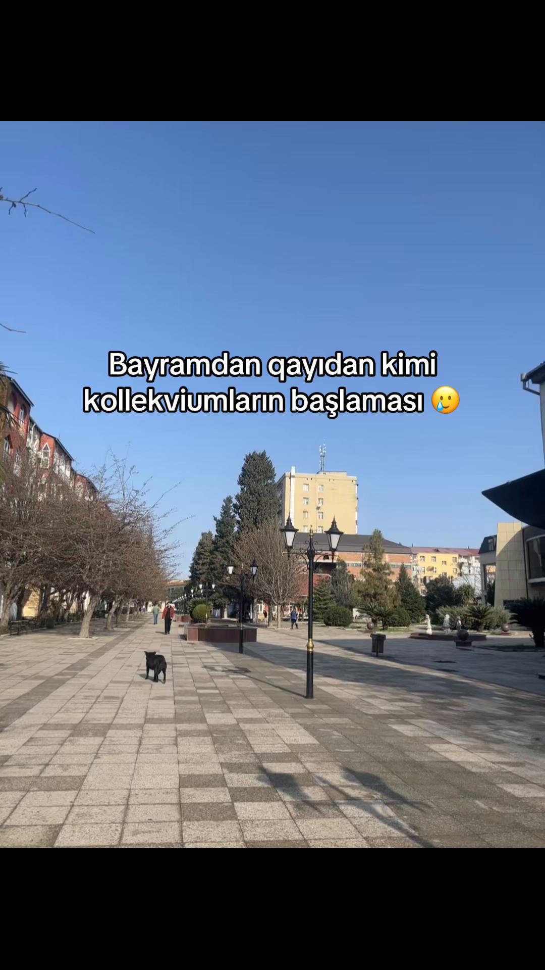 @𝐄𝐥𝐚𝐧𝐚 𝐃𝐨𝐯𝐥𝐚𝐭𝐨𝐯𝐚