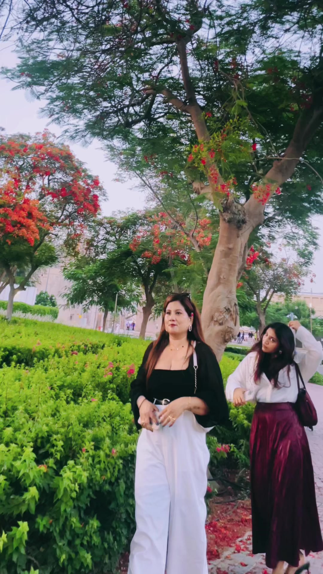 @Motu🥰🥰