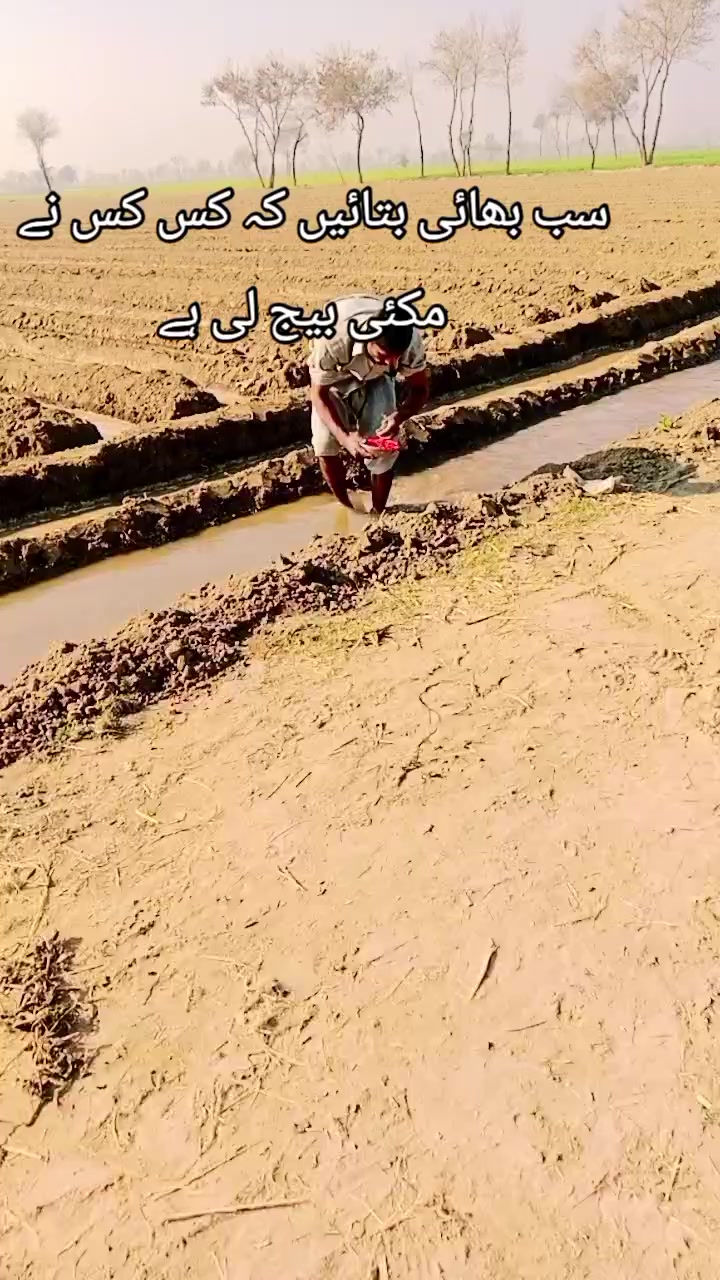 @Ray 🐅. amran 222🇵🇰🥷🐅❤️💯
