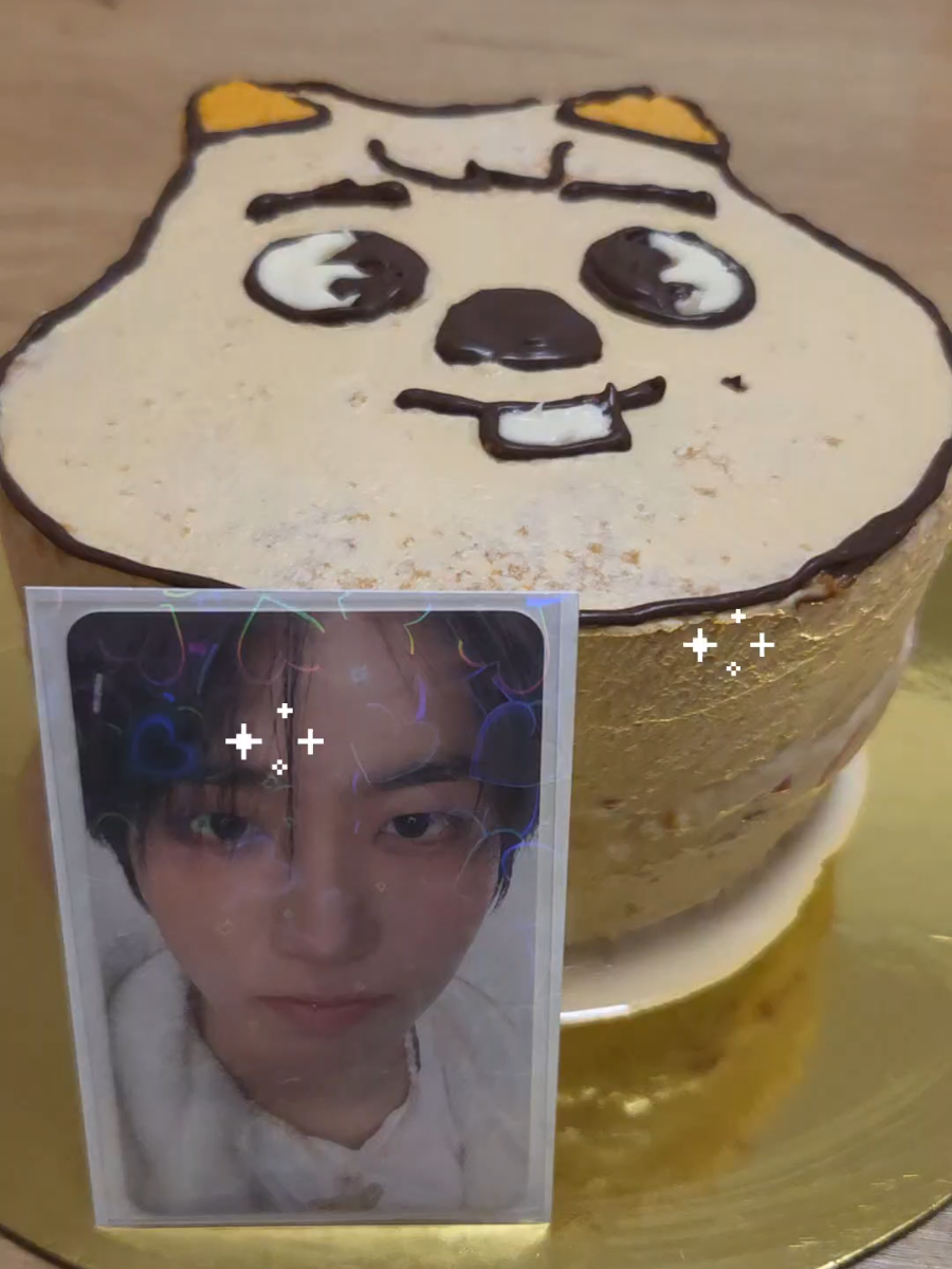 @.✦ ݁˖ ─ 𝐍ini .ᐟ.ᐟ