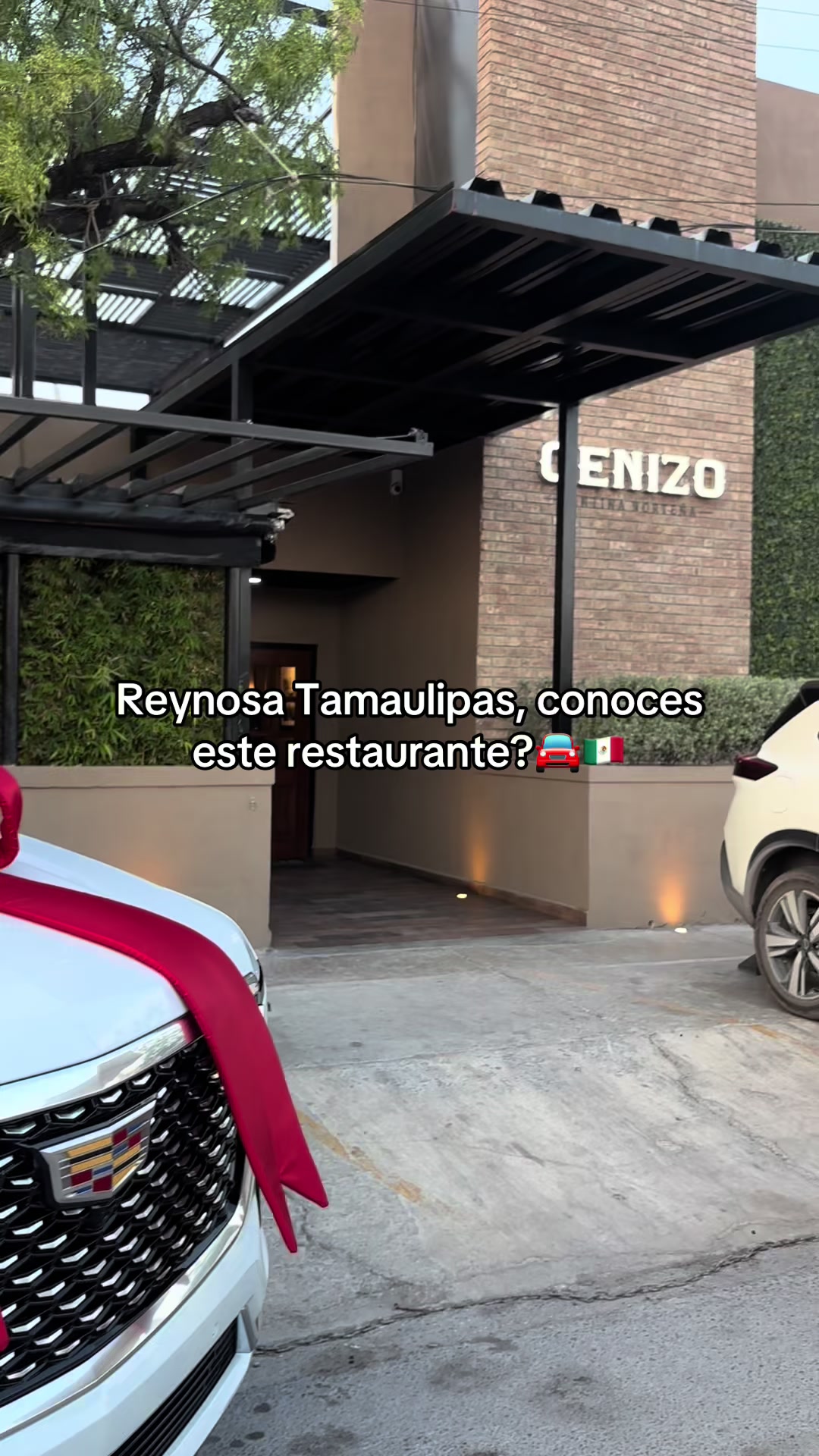 @Selene Asesora Reynosa