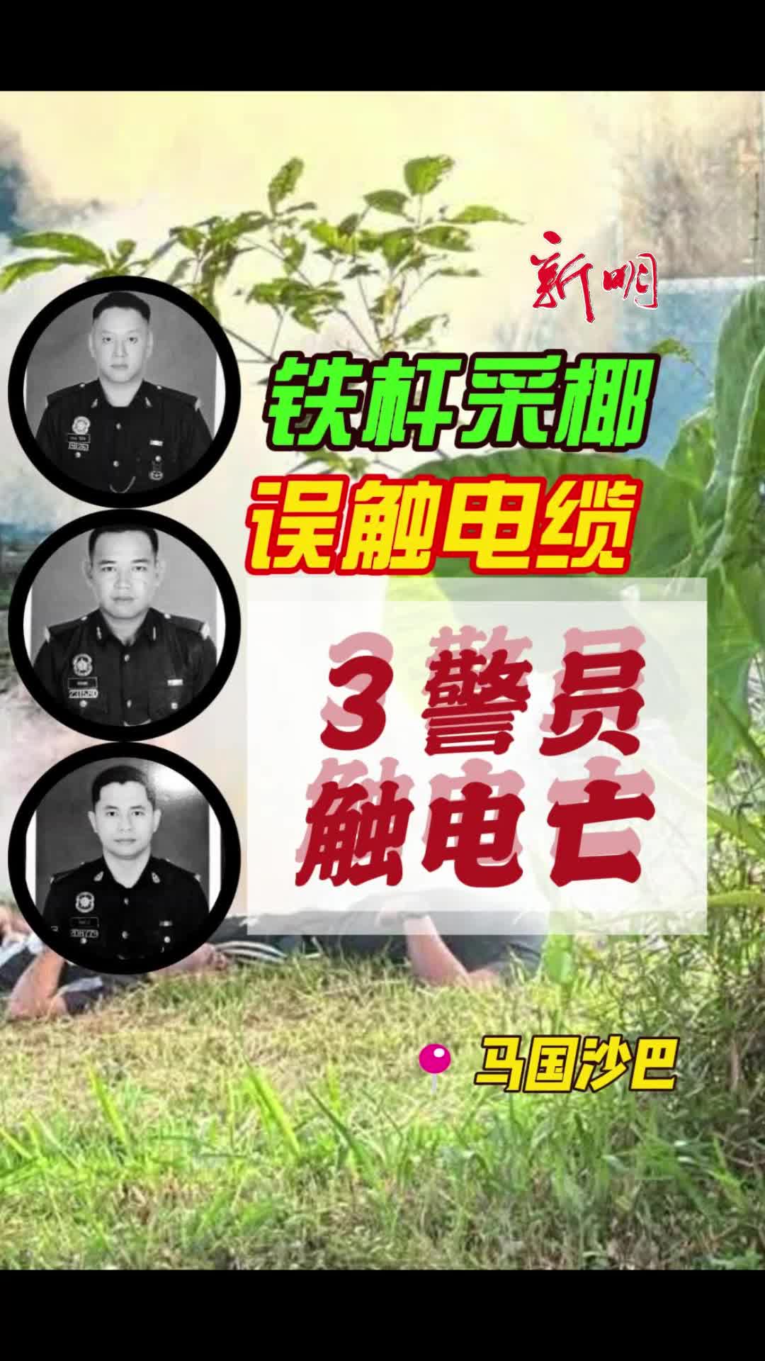 @新明日报