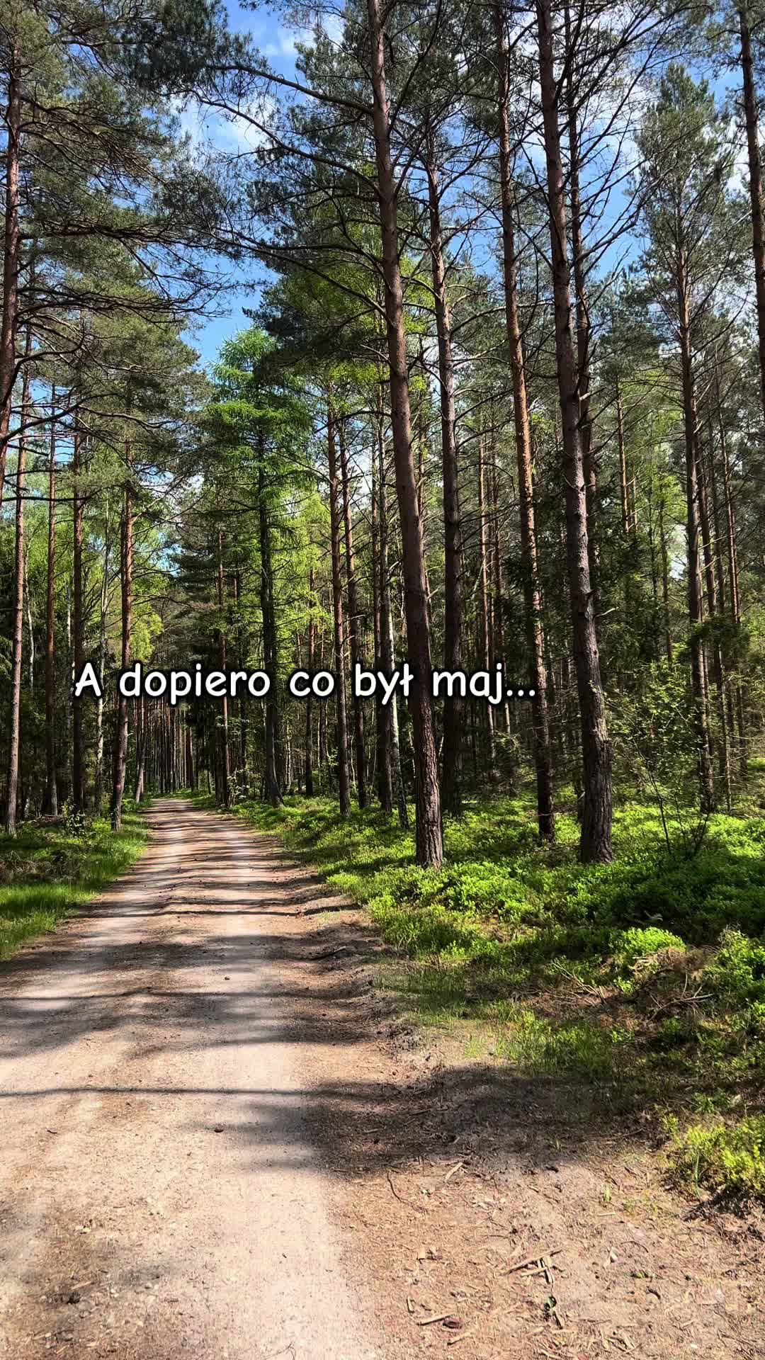@Villa Norda Dębki 🇵🇱