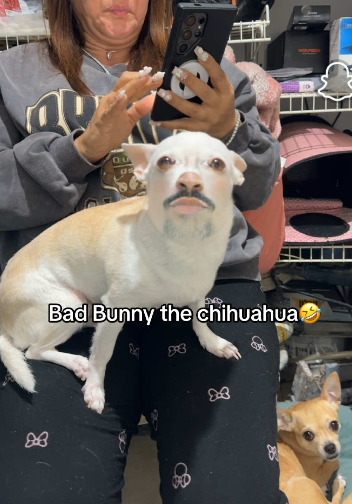 @mreviatar