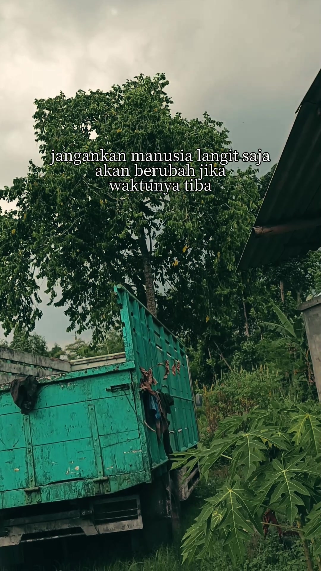 @Mandor Sukses