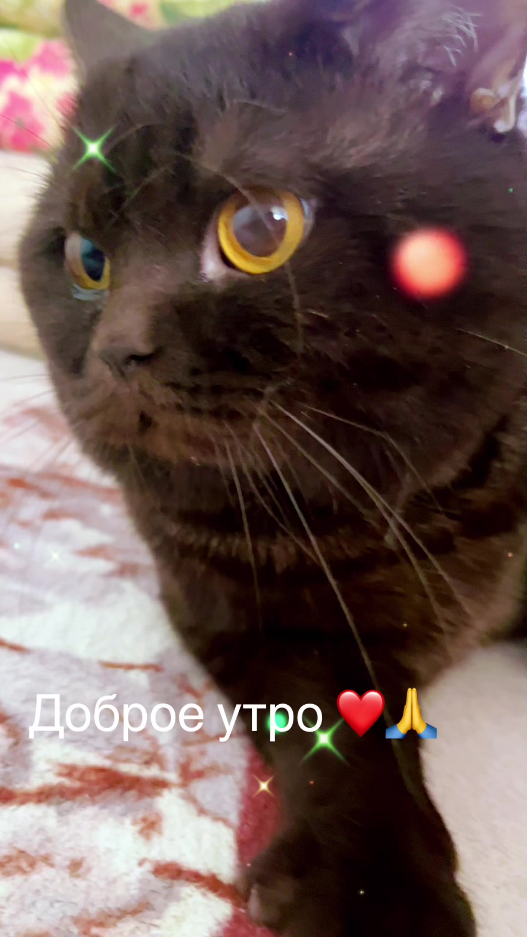 @❤️