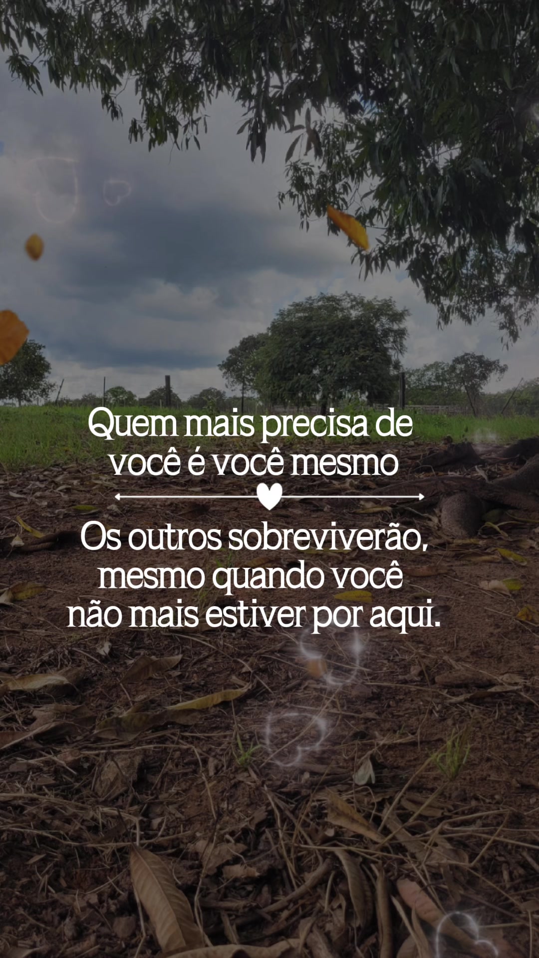 @Elaine Oliveira