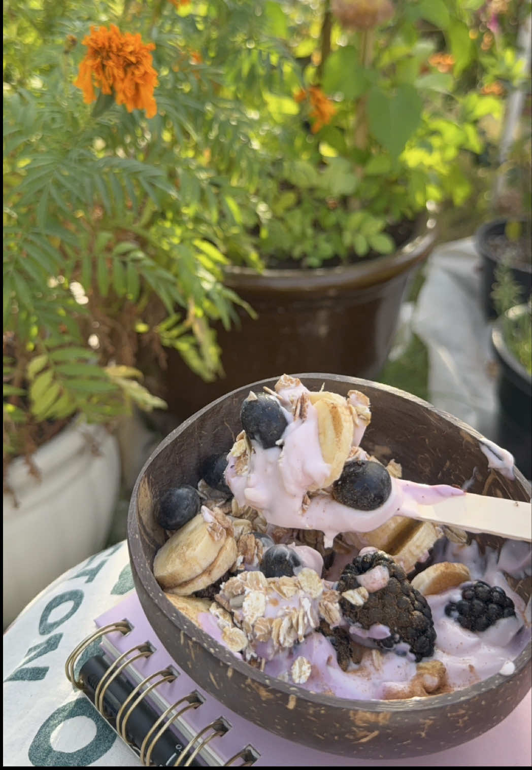@عالم سرور🌿