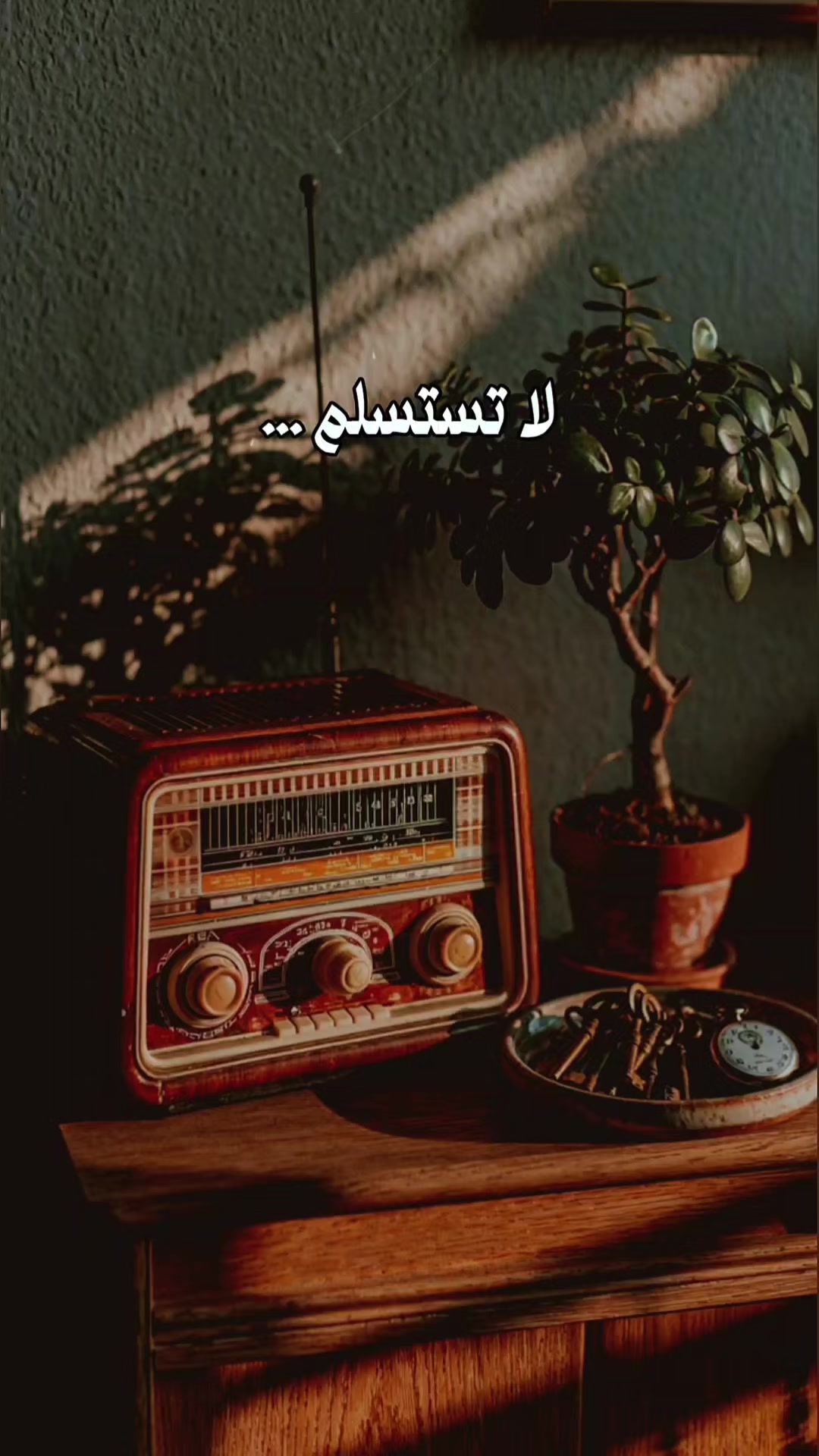 @جلال الدين الرومي