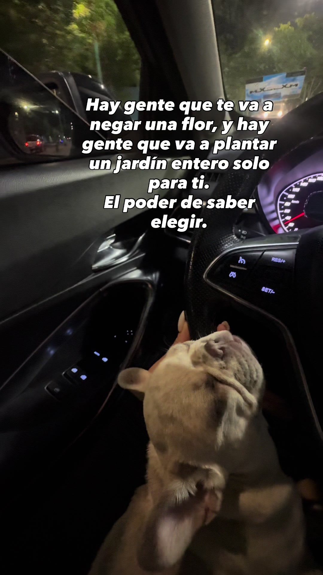 @Michelle Diaz B