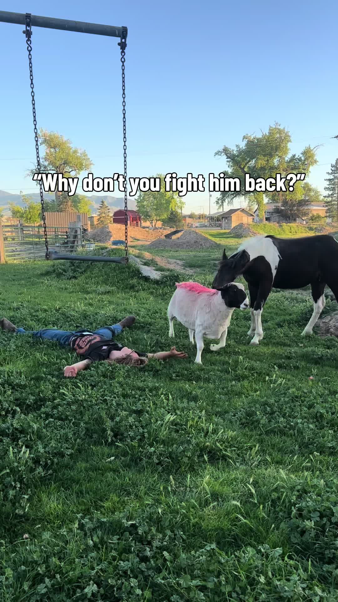 @happi acres