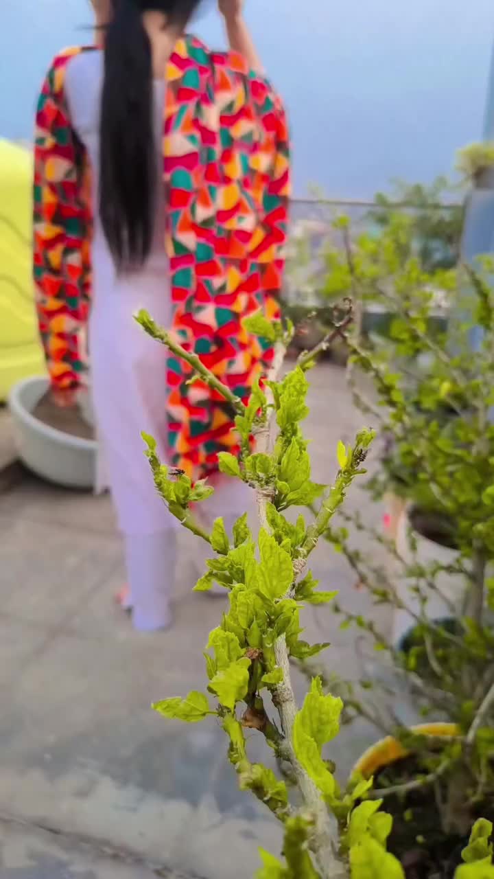 @Zeenat Ansari زینت انصا ری