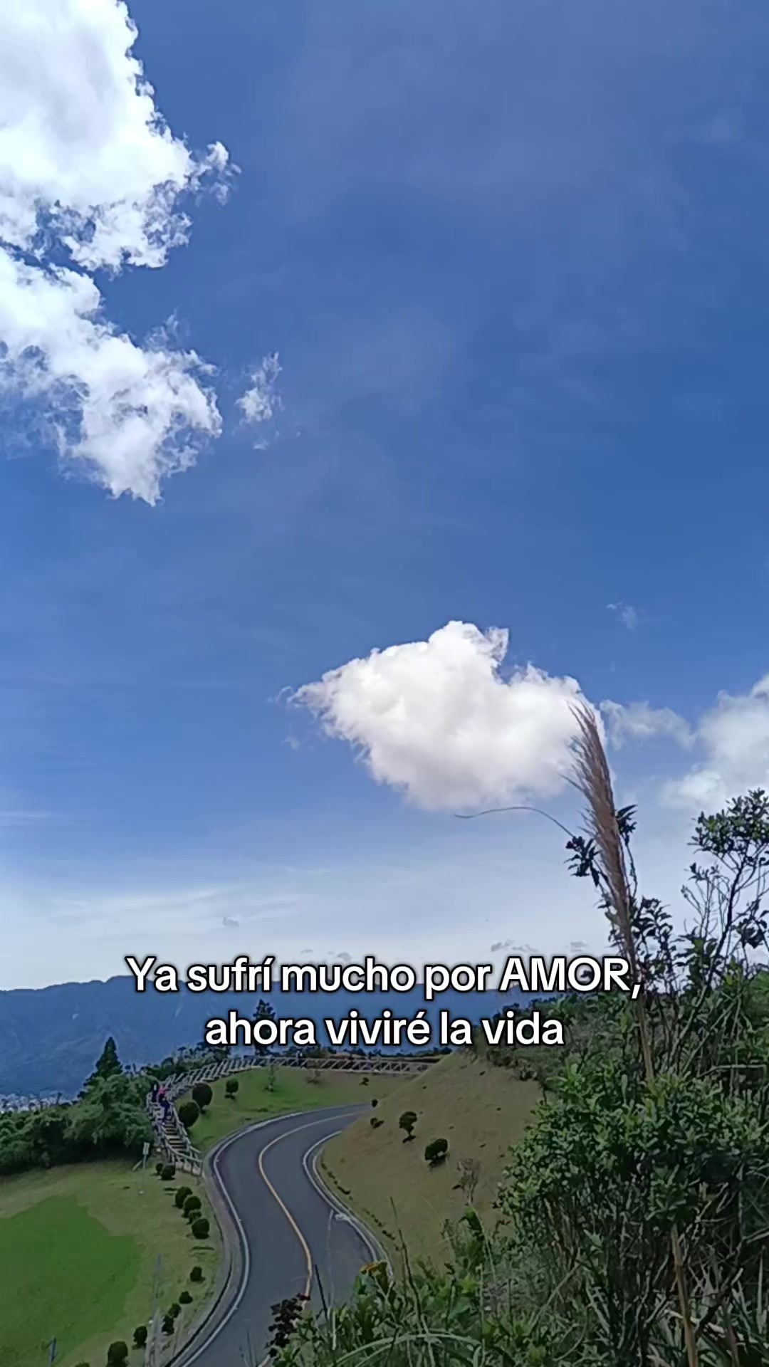 @Dayana Moran