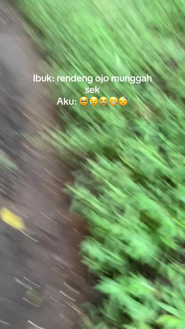 @sigmaboy