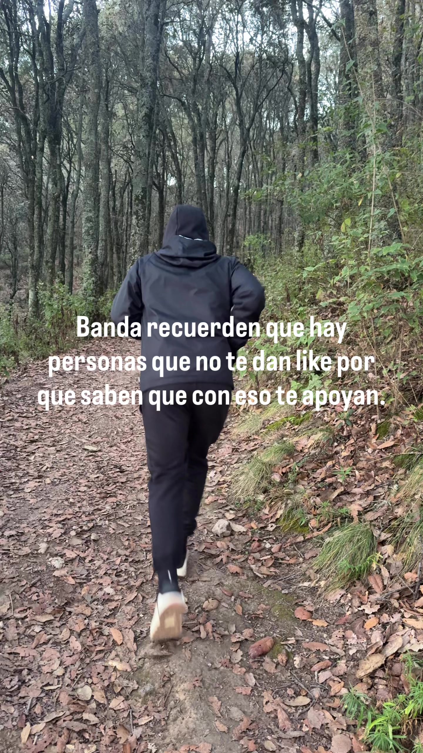 @danielrofit3