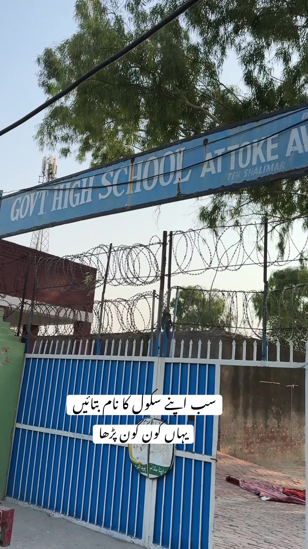 @فیصل سرور