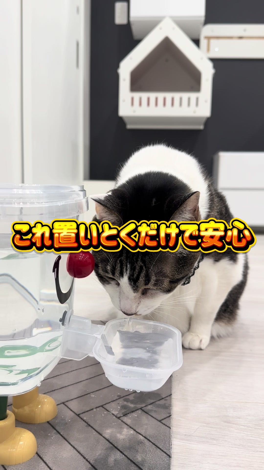 @ãºãå
çððïž