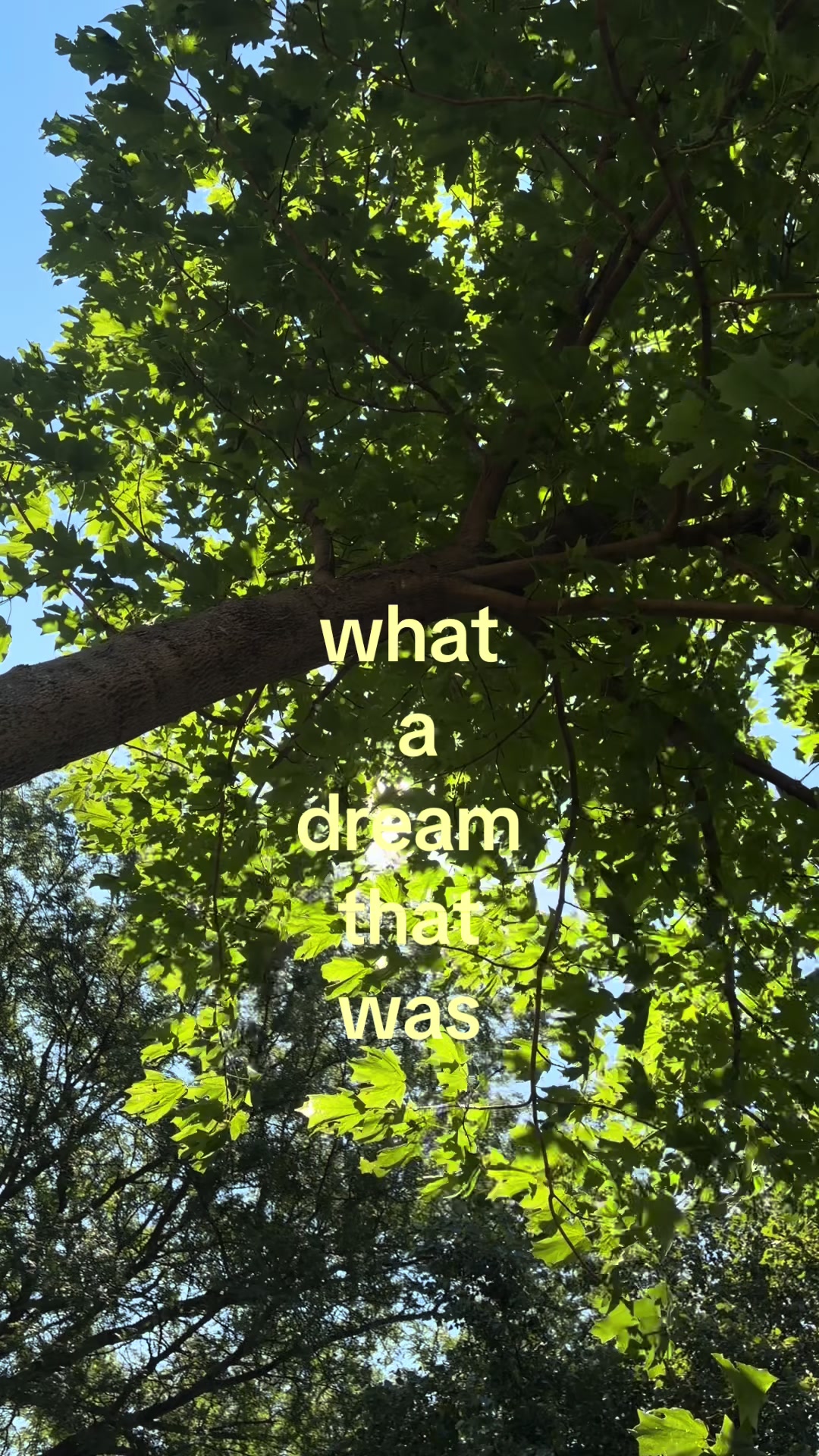 @el