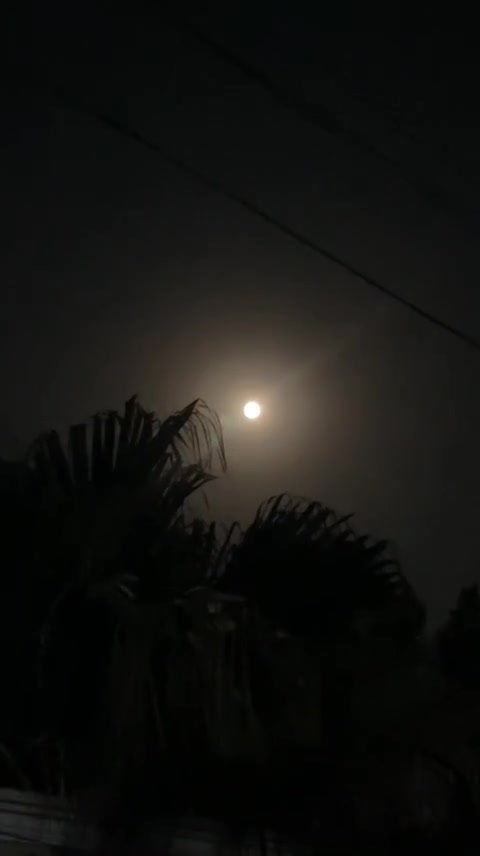 @🦁آرائیں بادشاہ